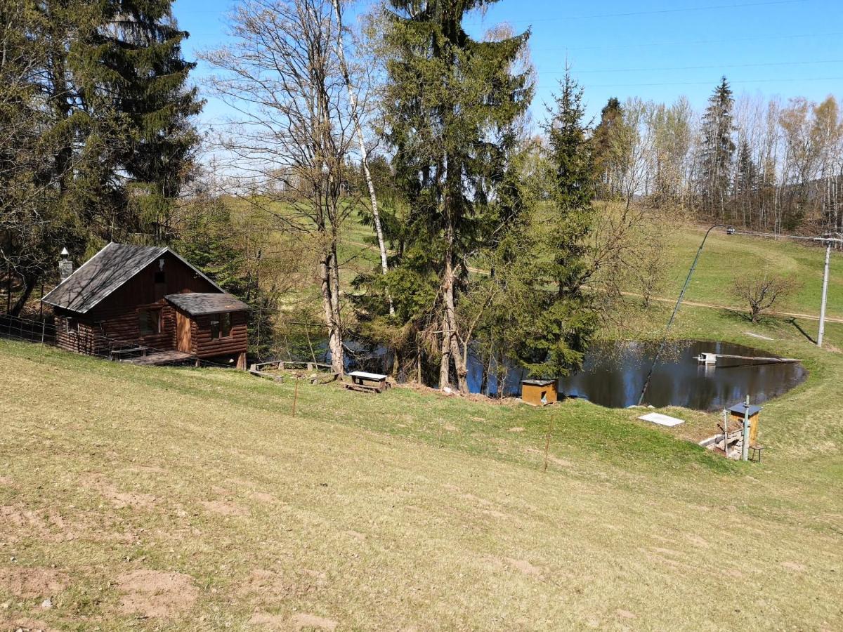 Srub Na Svahu Sjezdovky V Radvanicich Radvanice  Bagian luar foto