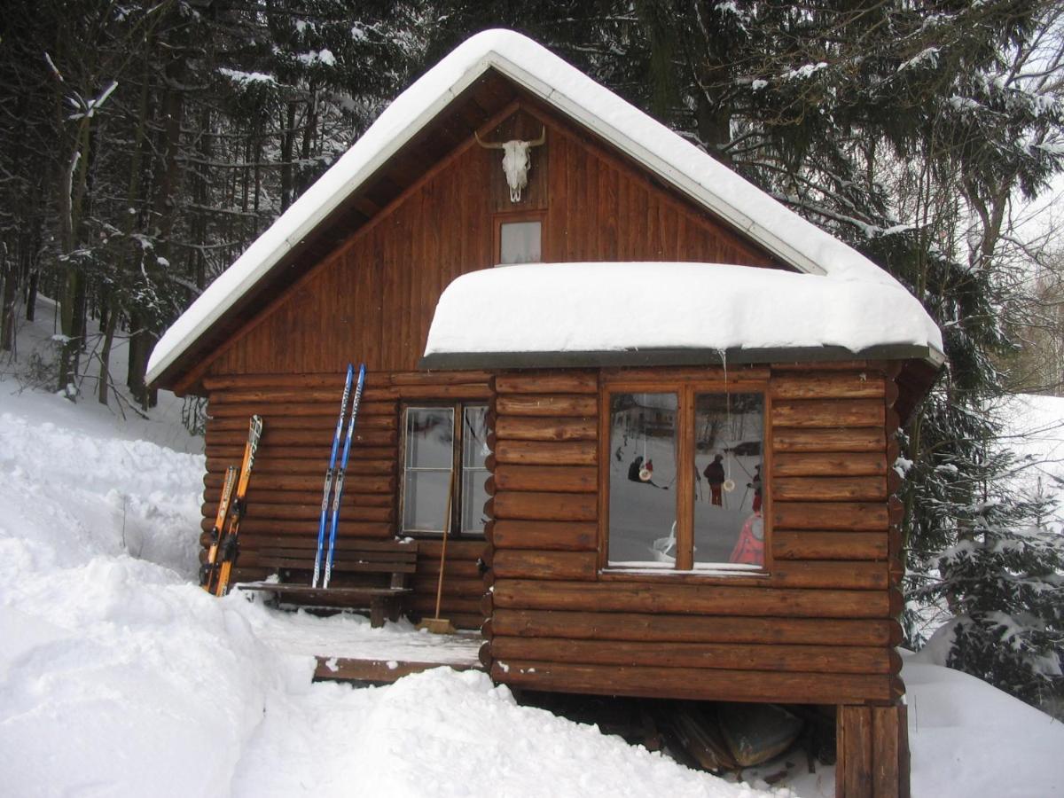 Srub Na Svahu Sjezdovky V Radvanicich Radvanice  Bagian luar foto