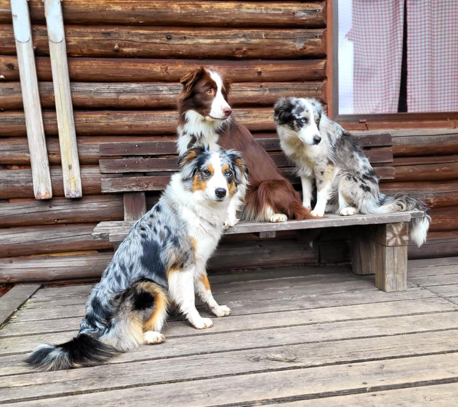 Srub Na Svahu Sjezdovky V Radvanicich Radvanice  Bagian luar foto